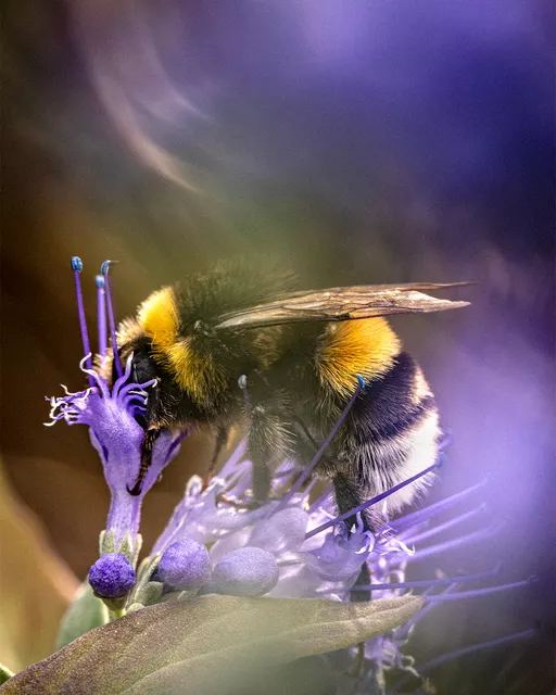 Pour la 4ᵉ année consécutive, j’ai eu le plaisir d’intervenir auprès des élèves de 2nde autour de la macrophotographi…